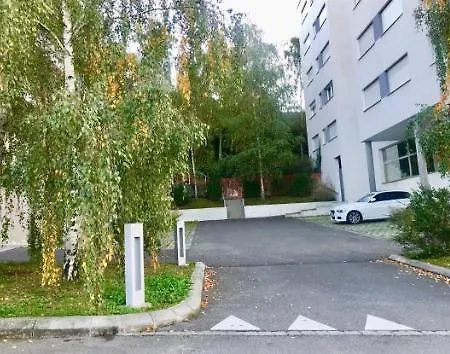 Bright Spacious And Modern With Terrace Lausanne