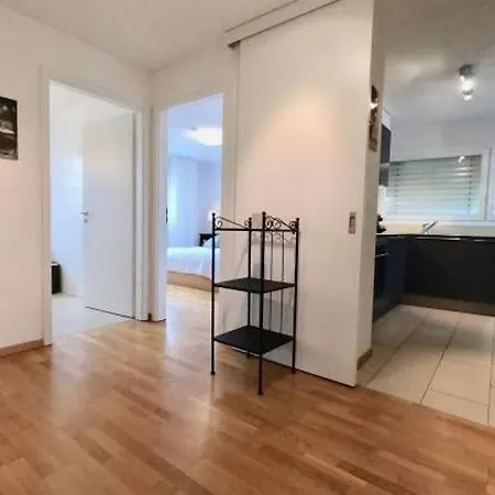 Bright Spacious And Modern With Terrace Lausana