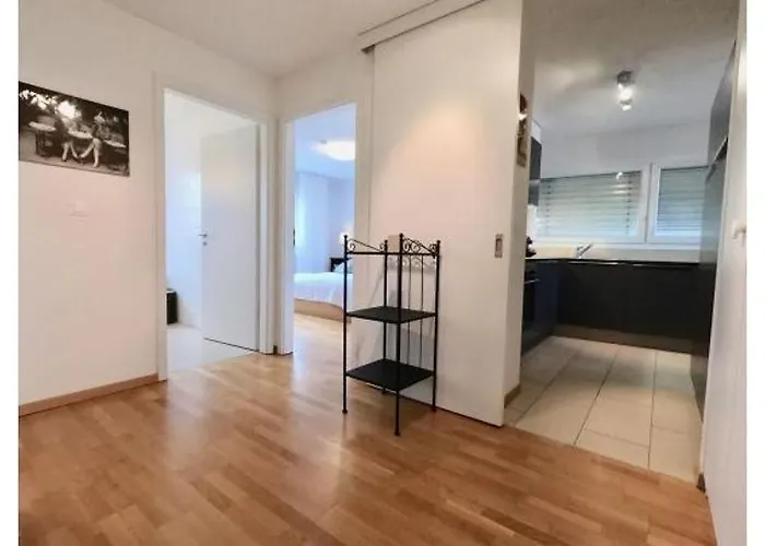 Bright Spacious And Modern With Terrace Losanna